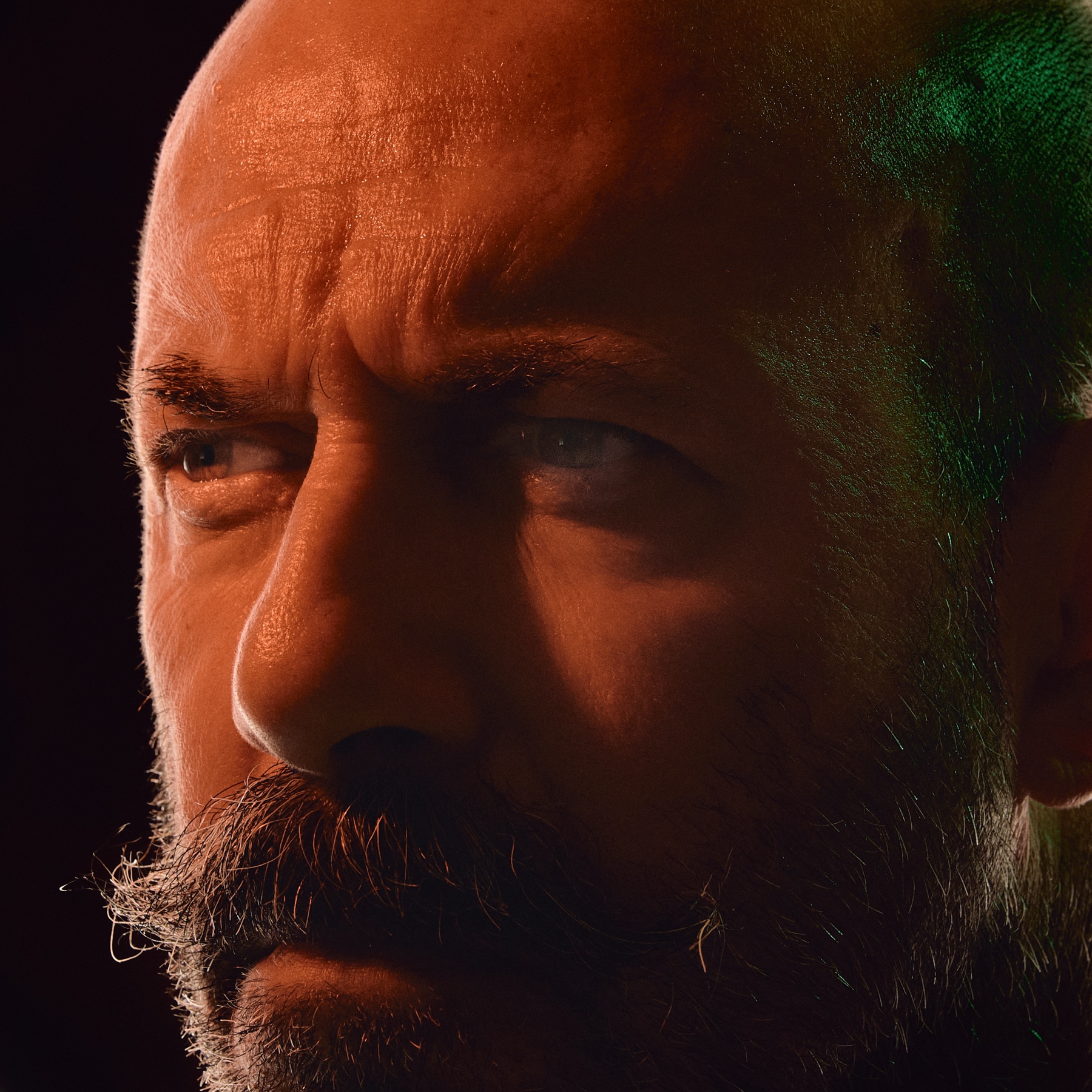 Portrait studio homme éclairage bi-color — lumière dramatique orange et verte — Black Forest Occitanie
